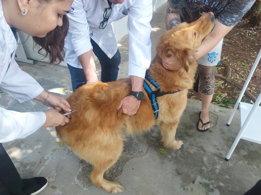 Vacinação de cães e gatos terá primeira ação do ano com 400 doses