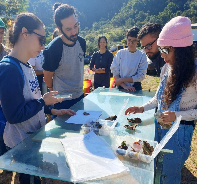 Vale da Graça terá encontro sobre usos e tabus no mundo dos fungos