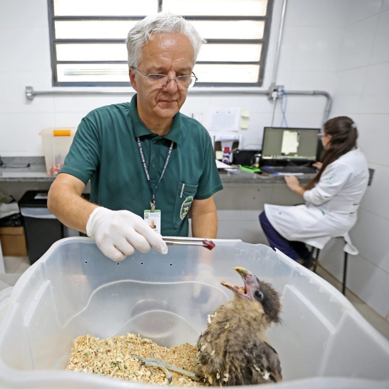 Prudente, Itapeva e Jales terão centros para animais silvestres