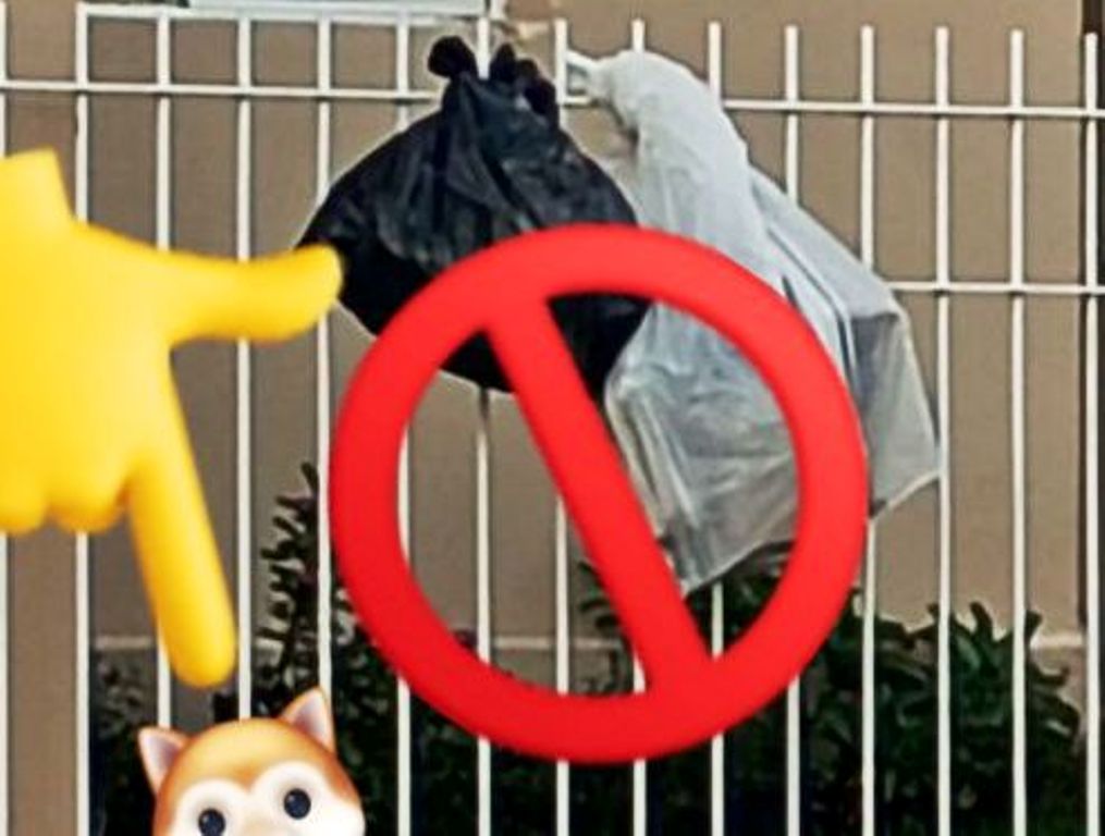 Caco de vidro em lixo fere coletor e causa alerta em Vera Cruz