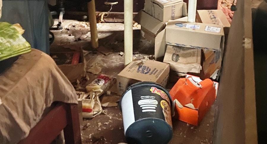 Polícia Ambiental resgata cães e aplica multa de R$ 45 mil em Ourinhos