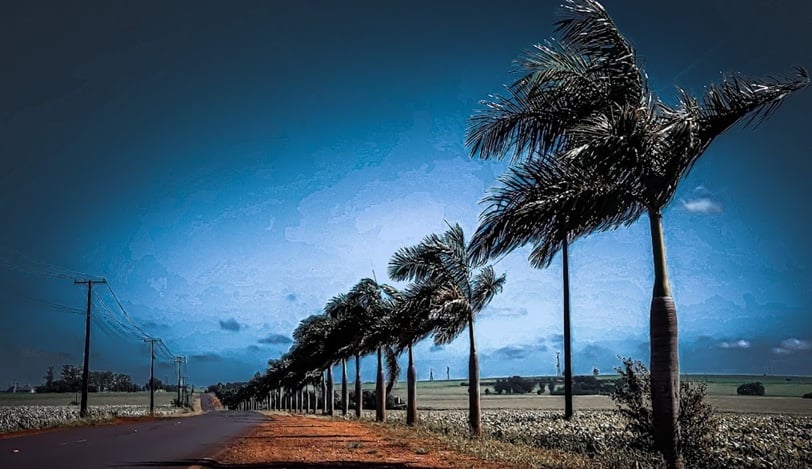 Cafelândia, Palmital e mais oito: Estado resgata cidades que nasceram do agro