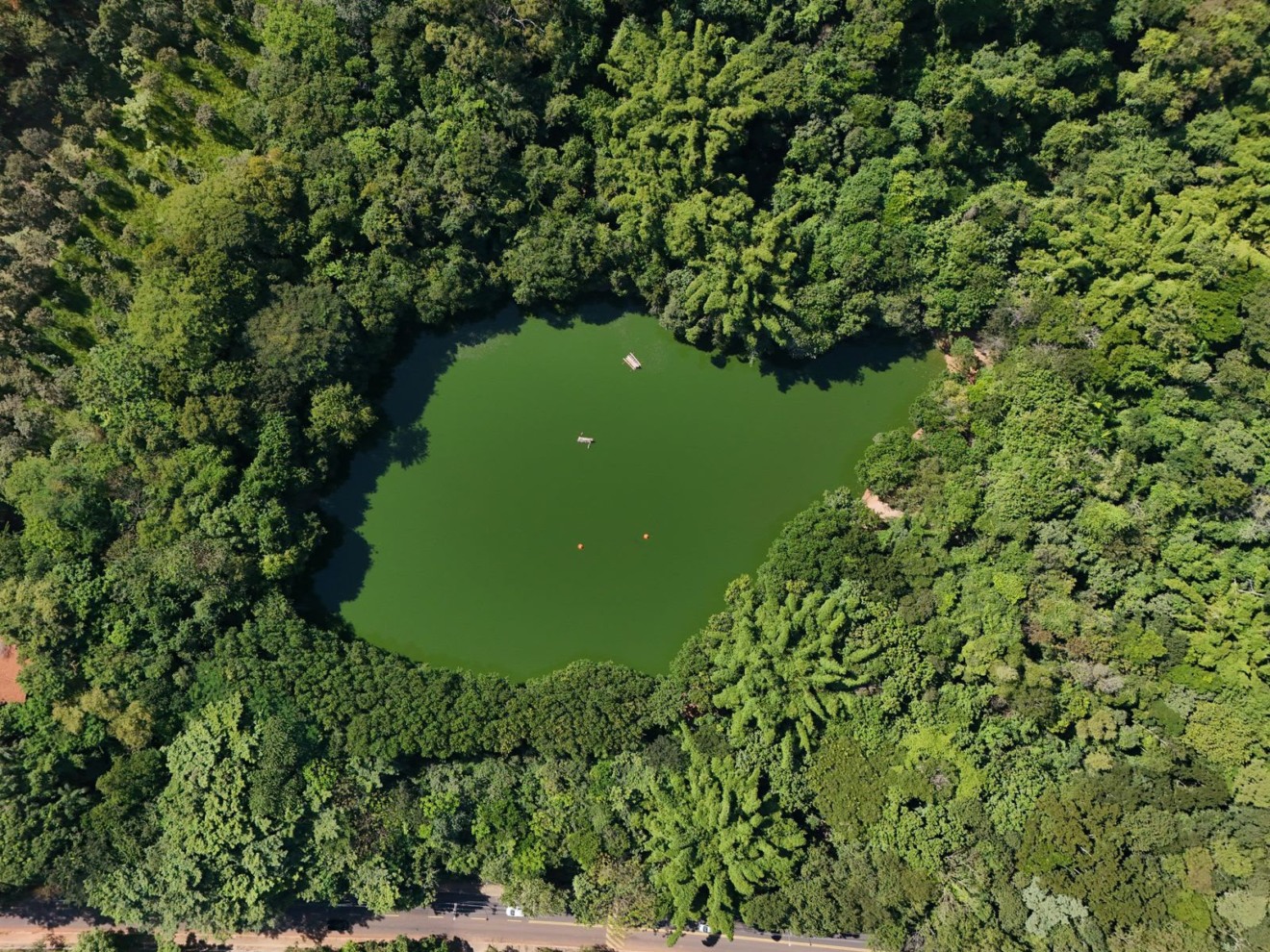Marília terá jardim sensorial, filmes árvores e até saúde para celebrar Meio Ambiente
