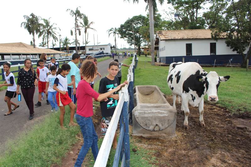 Curso de Medicina Veterinária da Unimar Celebra 40 Anos de Excelência