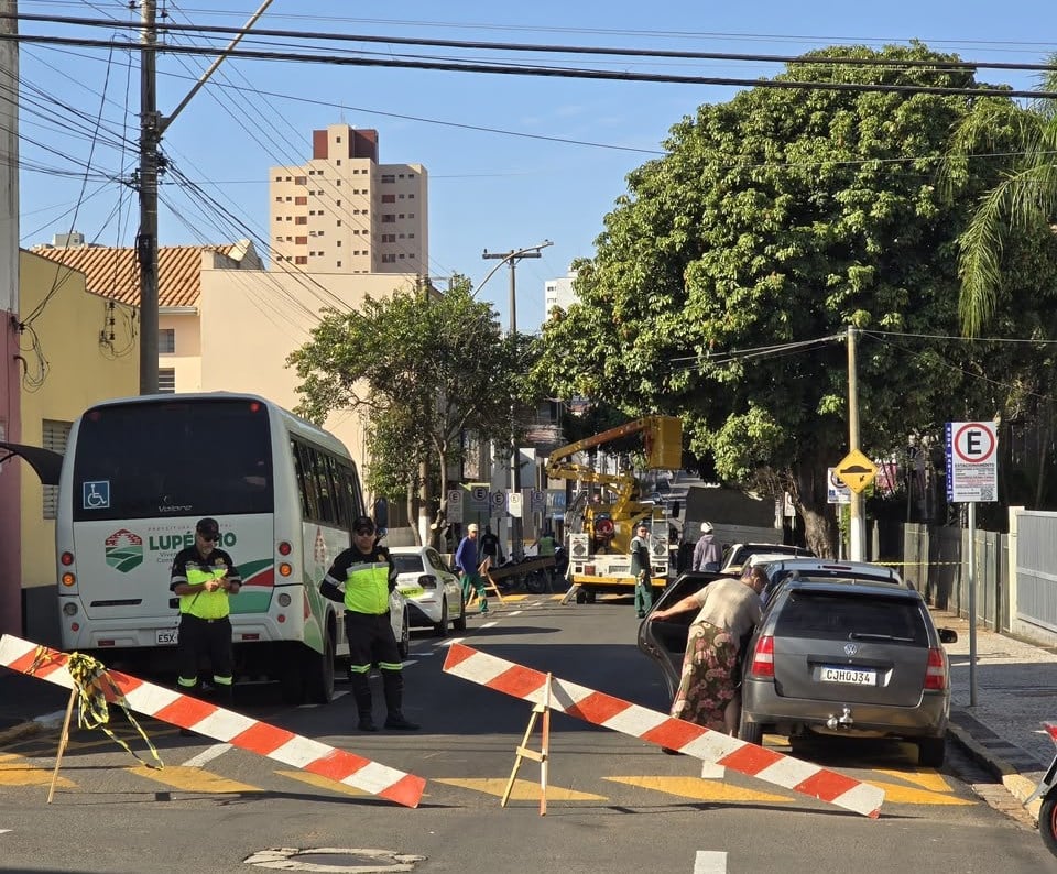 Árvores recebem 'poda de segurança' em rua do centro de Marília